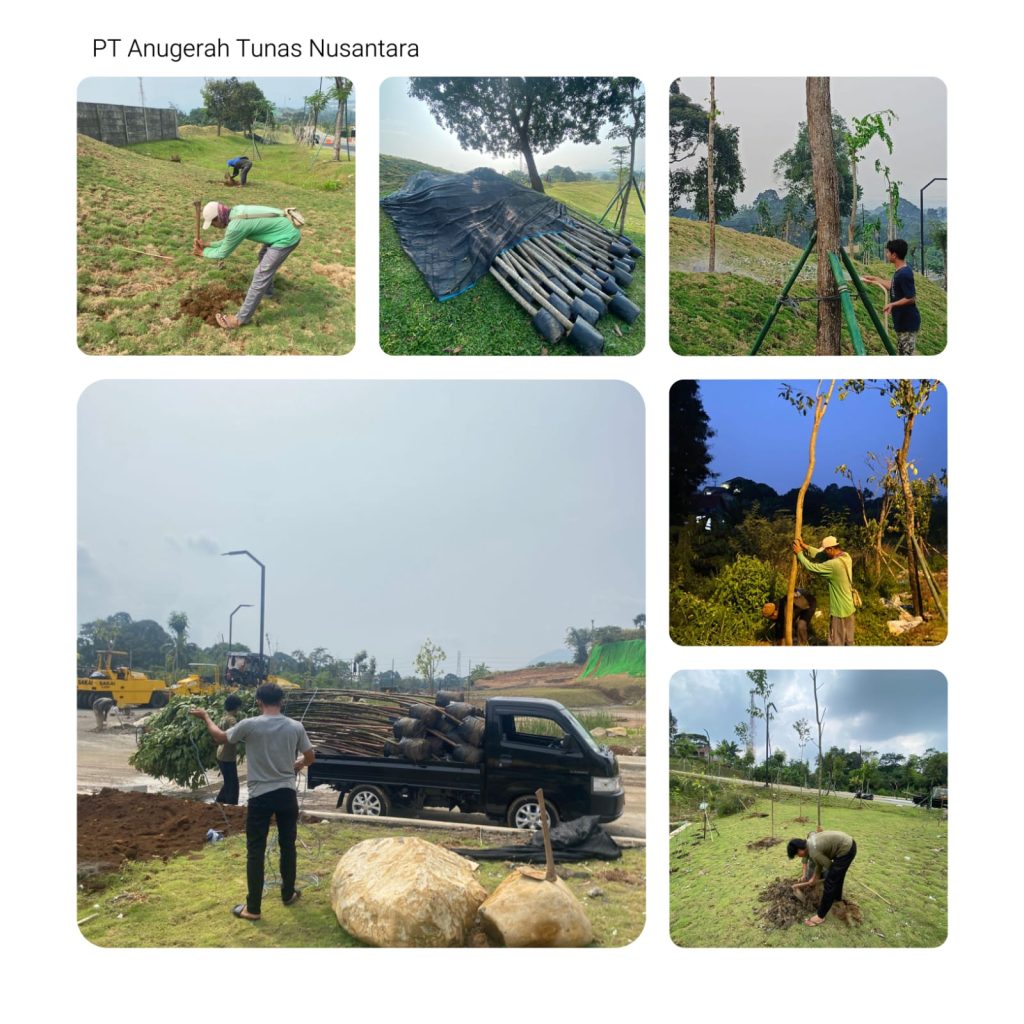 Pohon hias: Kumpulan dokumentasi pada proyek summarecon bogor