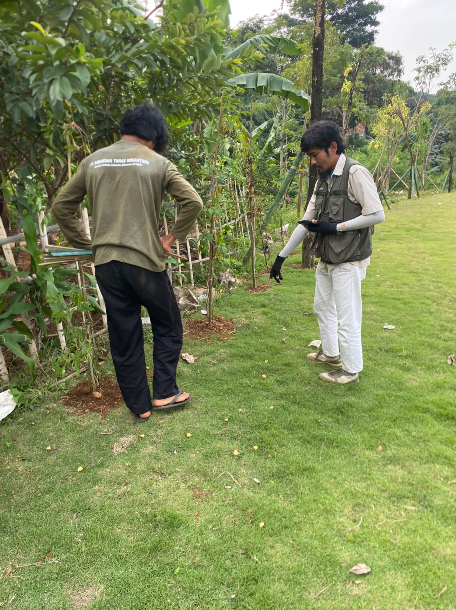 Menentukan jarak ideal menanam pohon - PT ATN