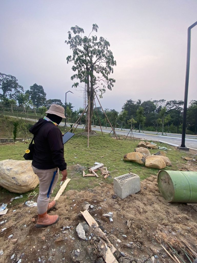 Menentukan jarak ideal menanam pohon - PT ATN