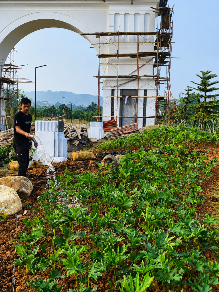 Tanaman Semak untuk Taman - Penanaman Semak Bunga Pukul Delapan oleh PT ATN