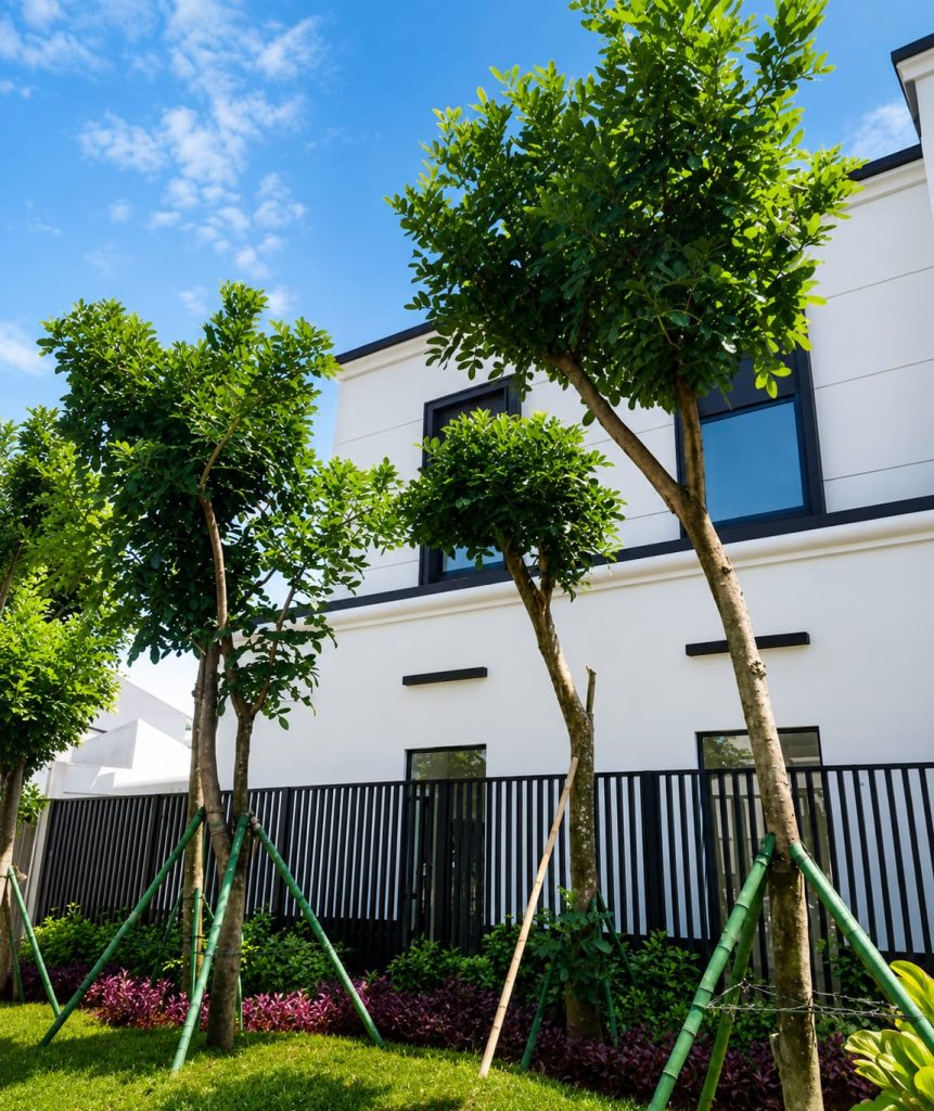 Area landscape modern