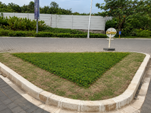 ground cover oleh PT ATN