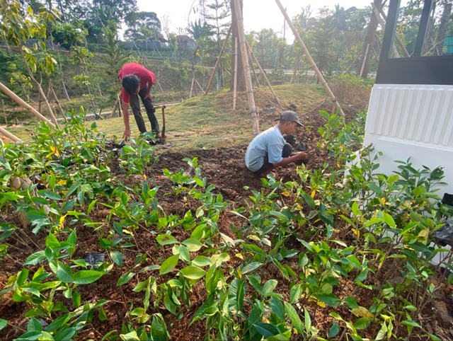proyek lanskap penanaman kaca piring