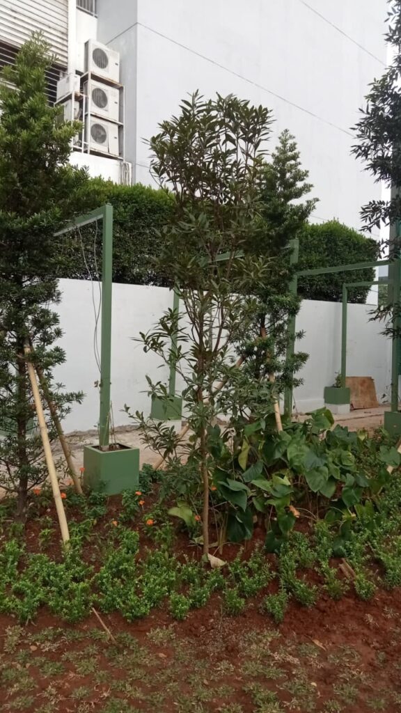 Pohon santos